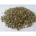 Free sample bulk organic hemp protein powder 70% protein